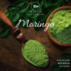 feuilles de moringa bio en poudre
